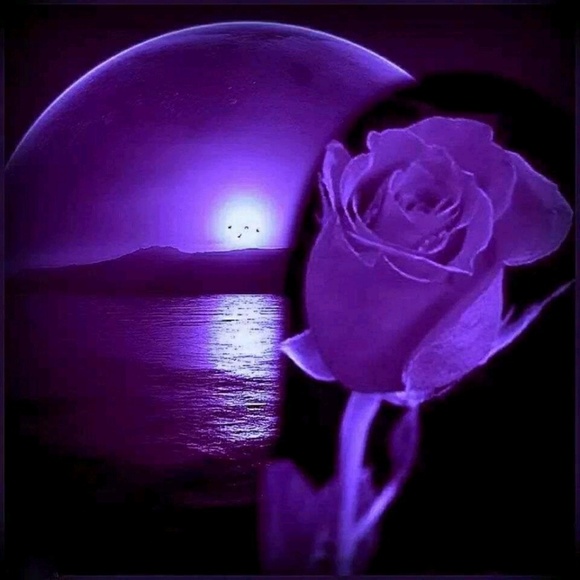 purple_soul